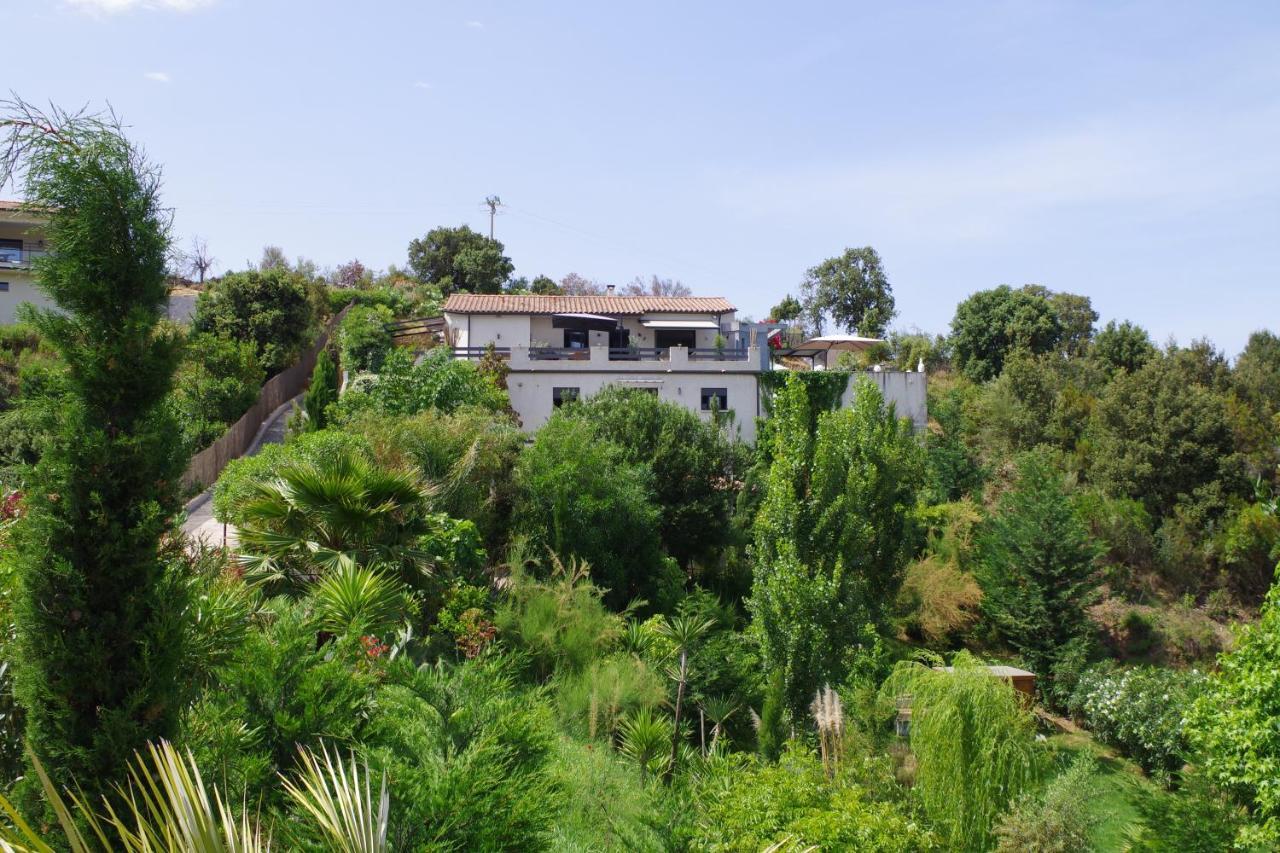 Appartement F2 Avec Terrasse De 35 M2 Bomorto - Porticcio ปอร์ติชโช ภายนอก รูปภาพ